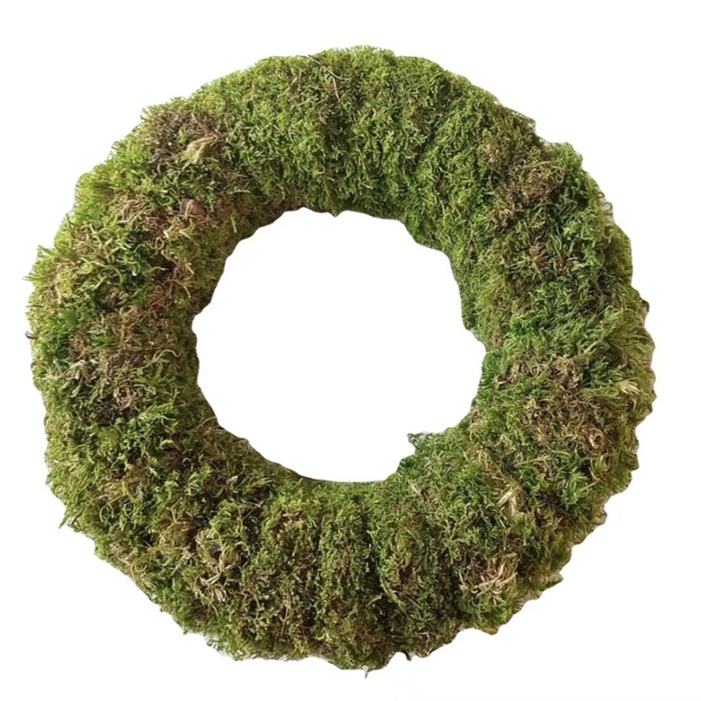 原色苔藓环